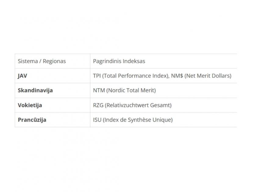 Asociatyvi nuotr.   2025 10 31T205846.931