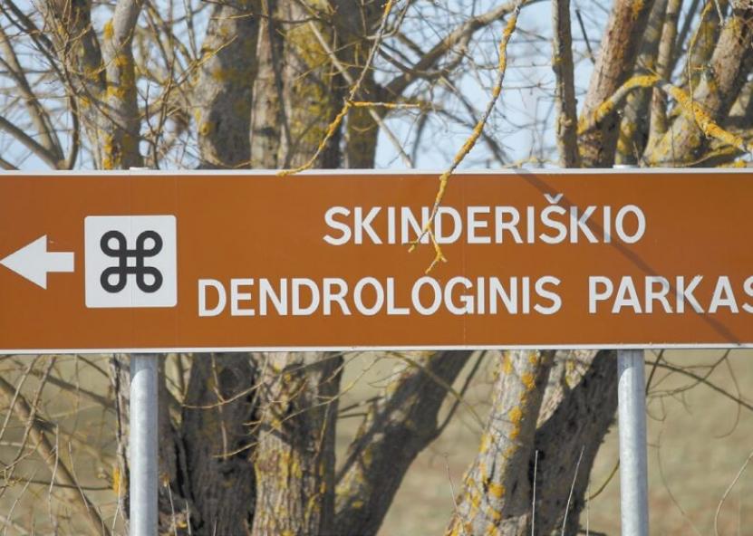 Rinkos aišktės nuotr. 