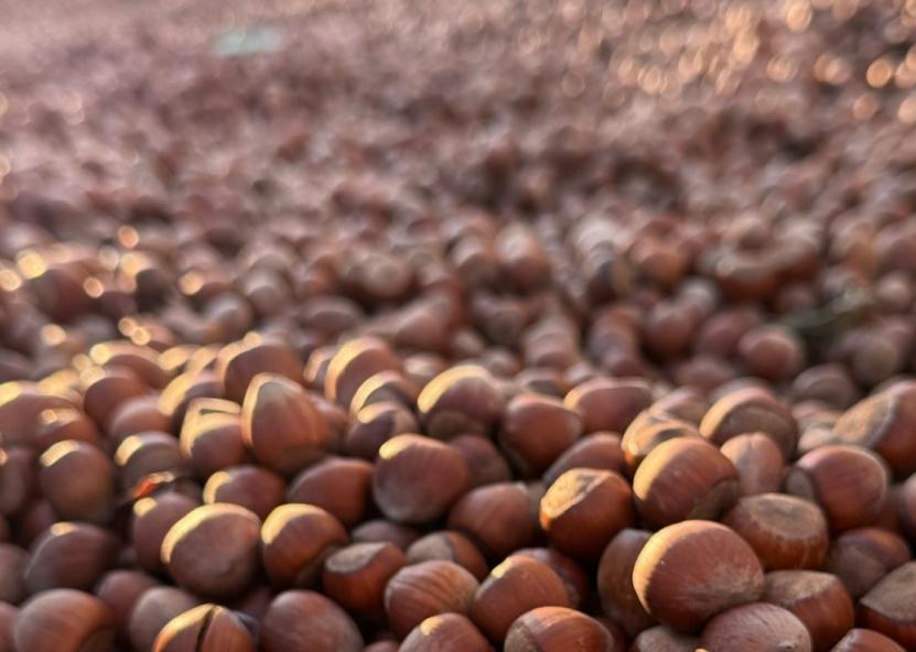 Asociatyvi nuotr. Canva nuotr. 