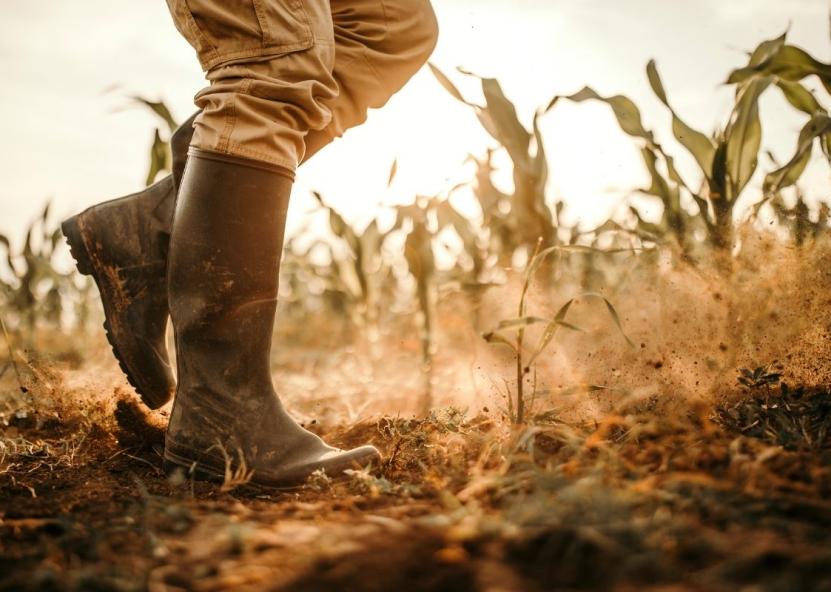 Asociatyvi nuotr. Canva nuotr. 