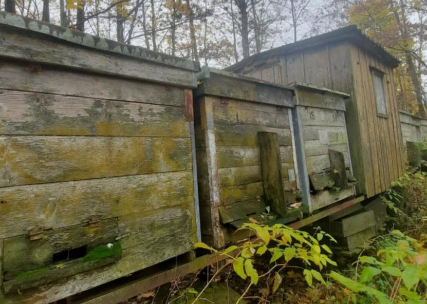 Dzūkų žinių nuotr. 