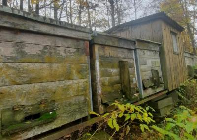 Dzūkų žinių nuotr.