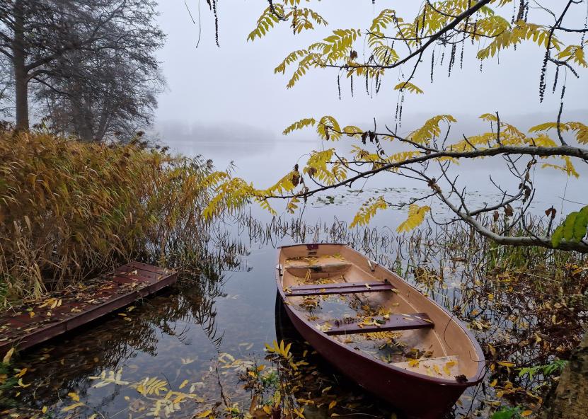 Lina Bl/Orų entuziastai 