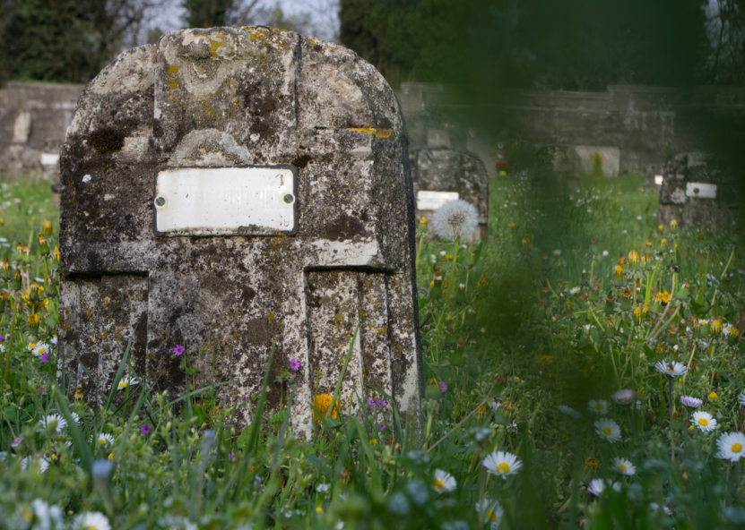 Kapavietė. AM nuotr. 