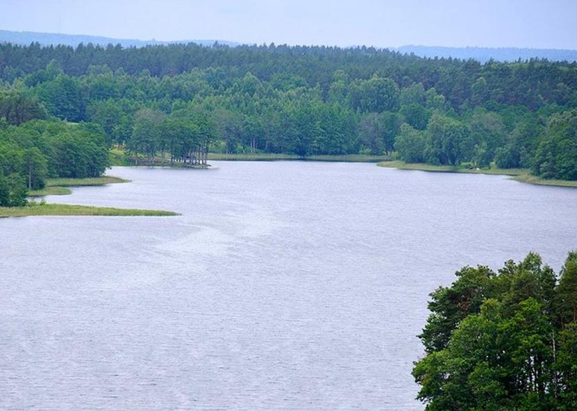 Asociatyvi nuotr. NŽT nuotr. 