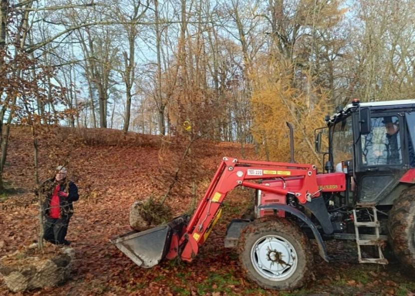 Kėdainių miesto parkas bus dar žalesnis – visoje teritorijoje pasodinta pusė šimto įvairių medžių. Kėdainių r. savivaldybės nuotr. 