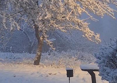 Inga Zenauskaitė/Orų entuziastai. Tytuvėnai.
