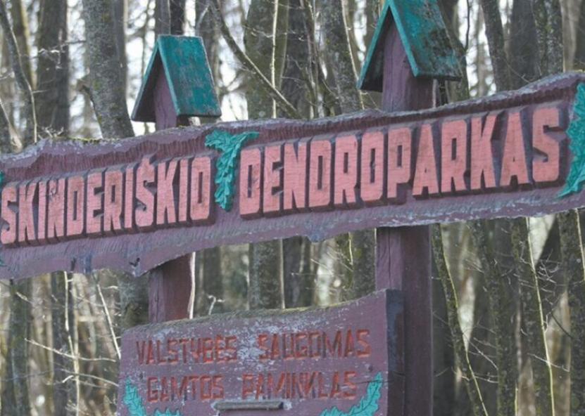 Rinkos aikštės nuotr. 