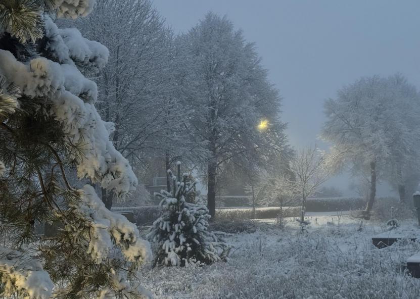 Pernarauskienė Inesa/Orų entuziastai. 