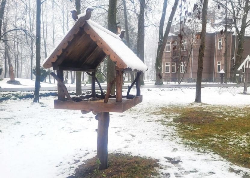 Asociatyvi nuotr. Jūsų Panevėžys nuotr. 