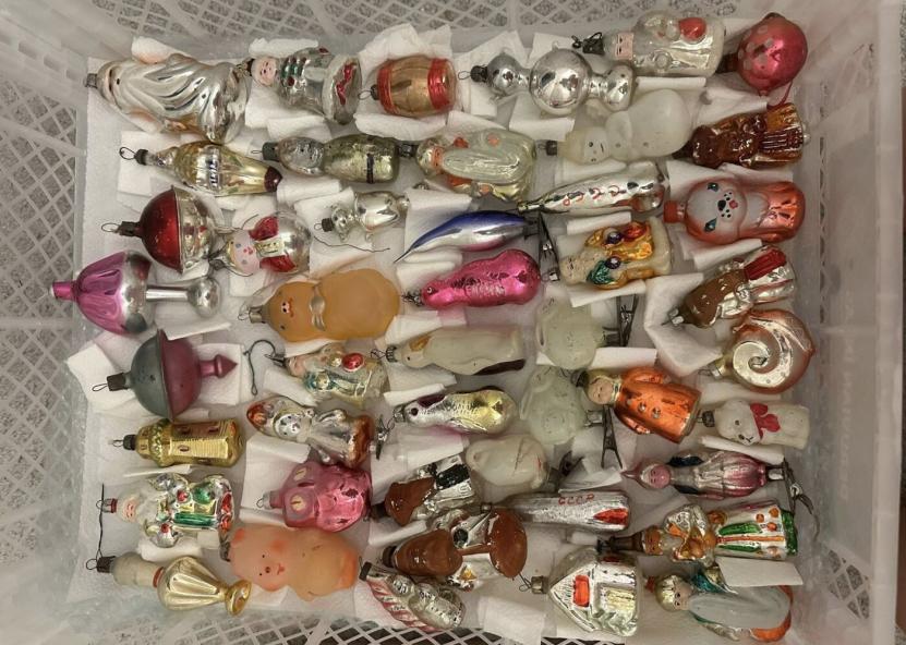 Dzūkų žinių nuotr. 