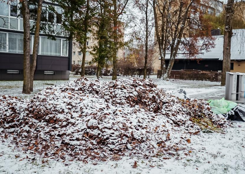 Pirmas sniegas. Jūsų Panevėžys nuotr. 
