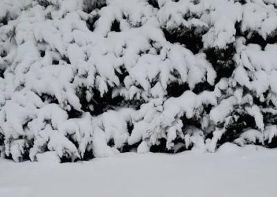 O. Gustaitienės nuotr./ Orų entuziastai