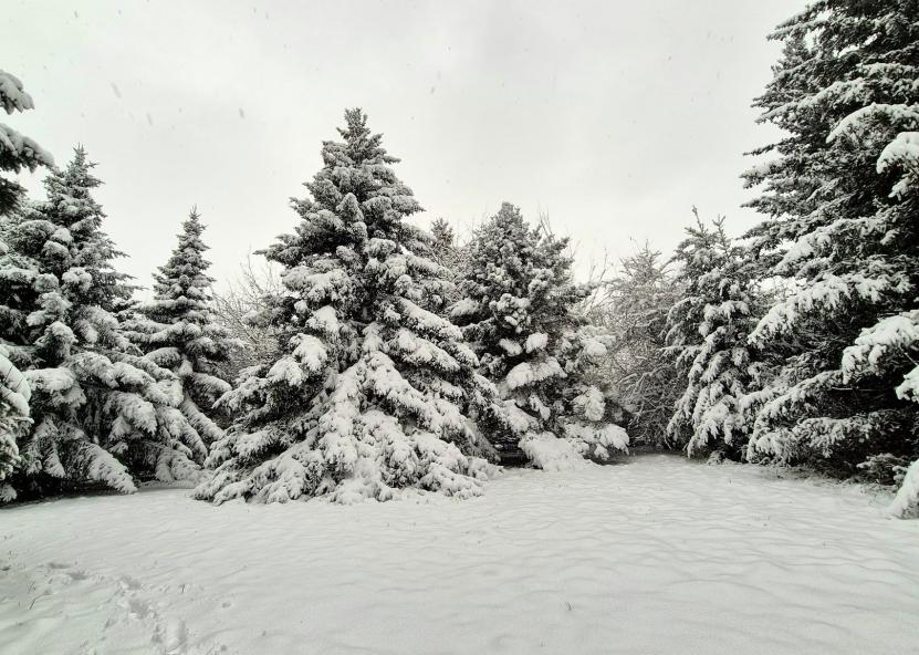 Kris Tinos nuotr./ Orų entuziastai 