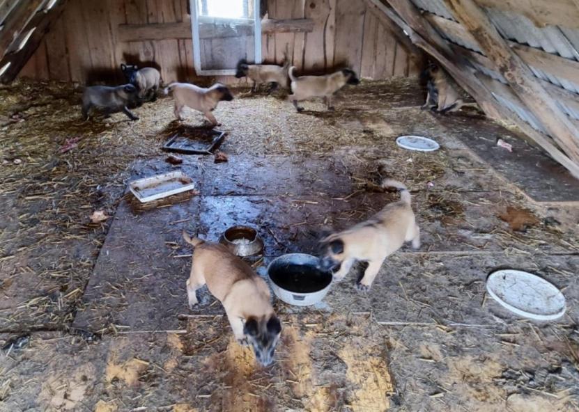 Įvykio nuotr. VMVT nuotr. 