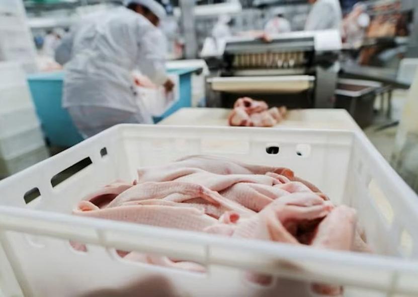 Asociatyvi nuotr. VMVT nuotr. 