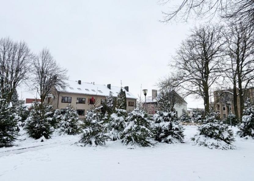 Egličių parkas. Rinkos aikštės nuotr. 