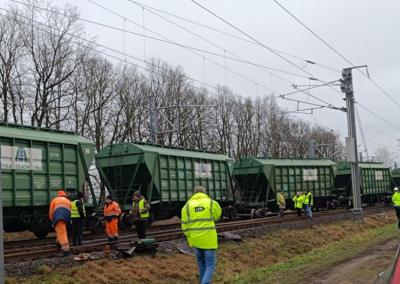 Nuriedėję vagonai. Rinkos aikštės nuotr.