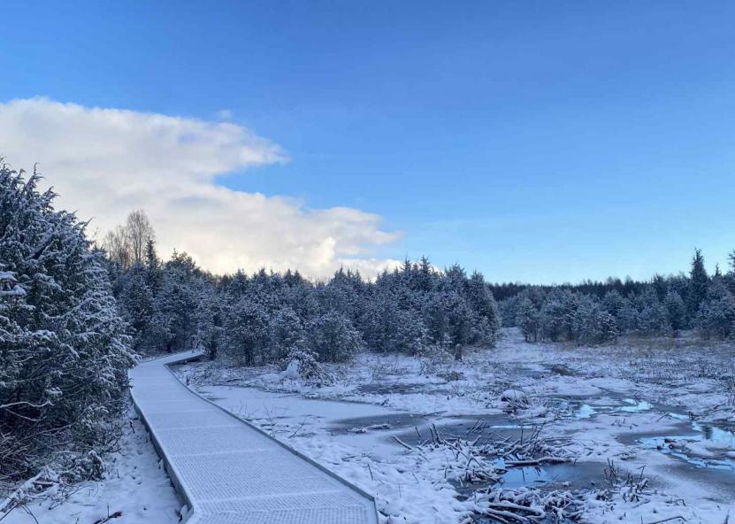 Šauklių pažintinis takas. AM nuotr 