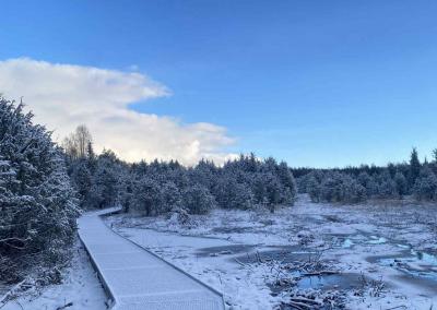 Šauklių pažintinis takas. AM nuotr