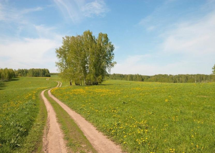 Asociatyvi nuotr. NŽT nuotr. 