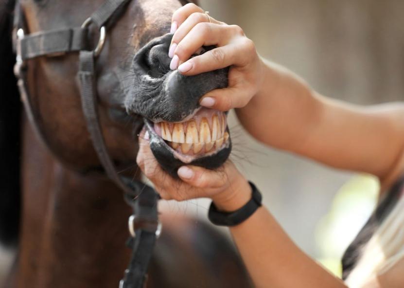 Asociatyvi nuotr. Canva nuotr. 