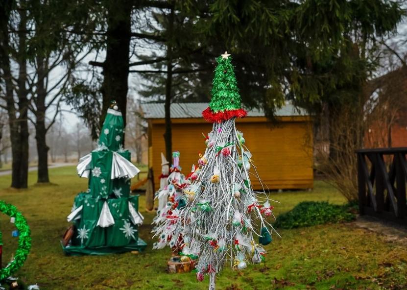 Trakiškio eglučių alėja jau džiugina praeivius. Jūsų Panevėžys nuotr. 
