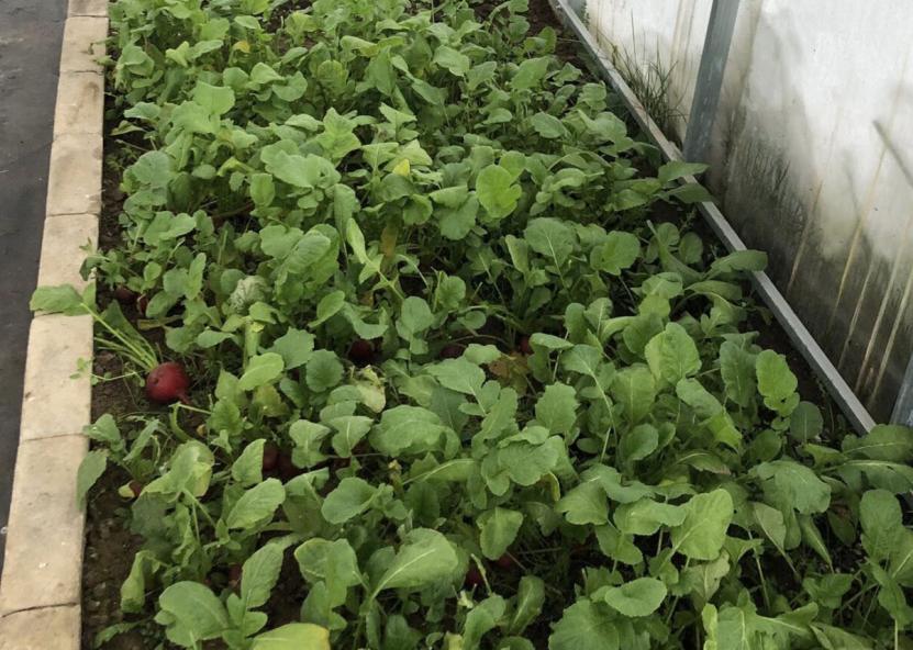 Dzūkų žinių nuotr. 