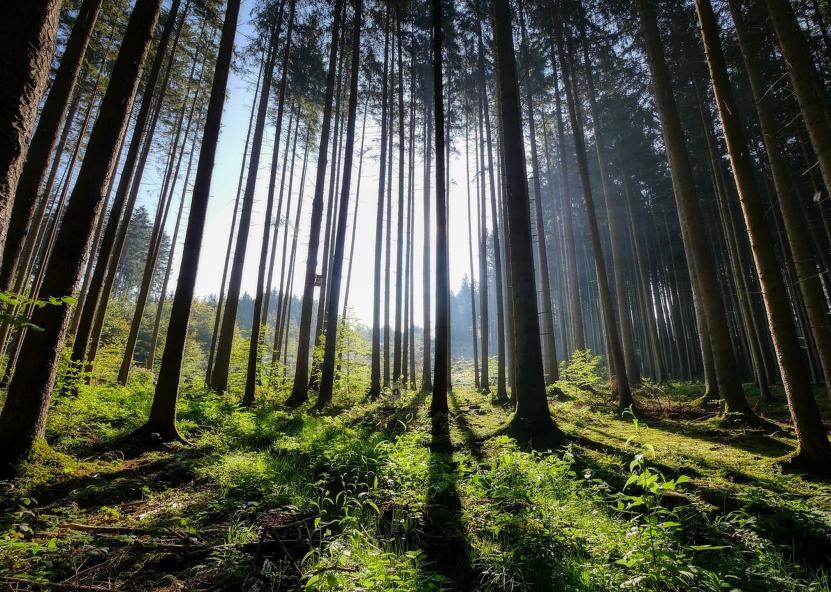 Aplinkos ministerijos nuotr. 