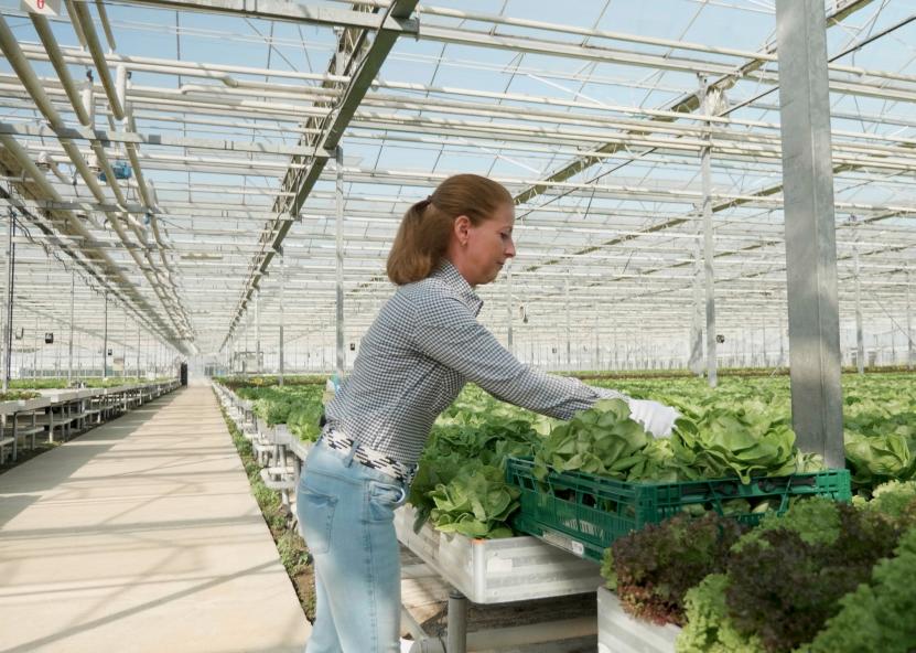 Žemės ūkio ministerijos nuotr. 