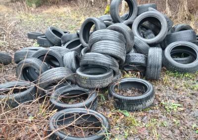 Valstybinių miškų urėdijos nuotr.