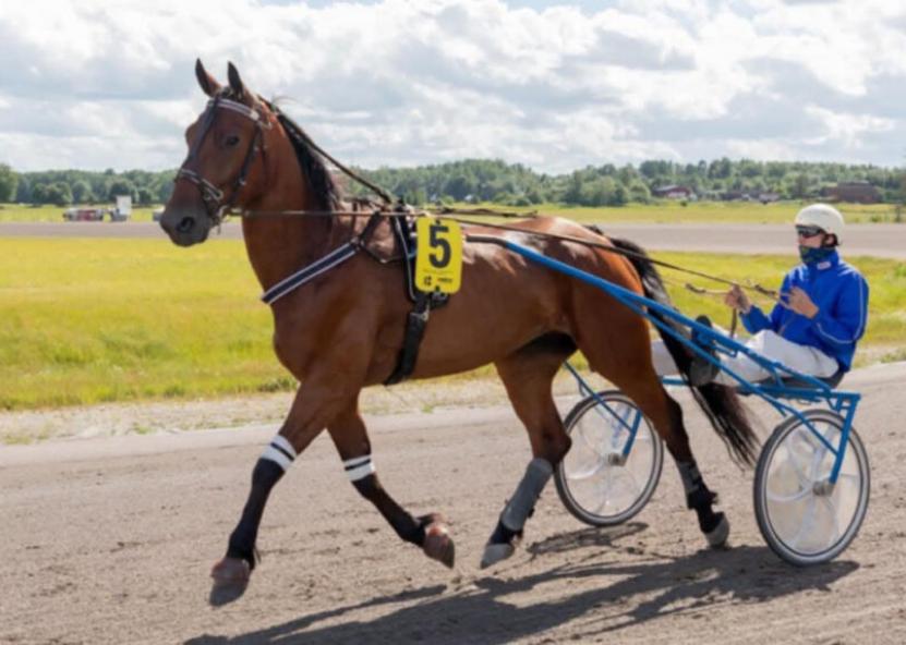 Ukmergės żinių nuotr. 