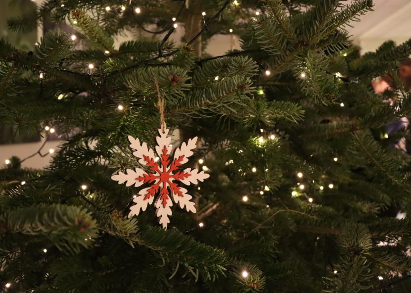 Valstybinių miškų urėdijos nuotr. 