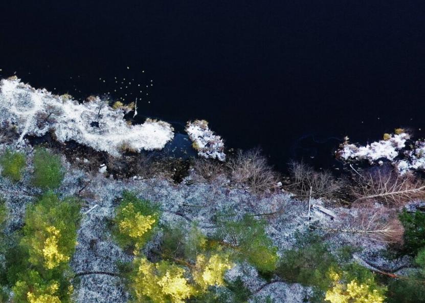 Valstybinių miškų urėdijos nuotr. 