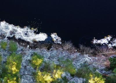 Valstybinių miškų urėdijos nuotr.