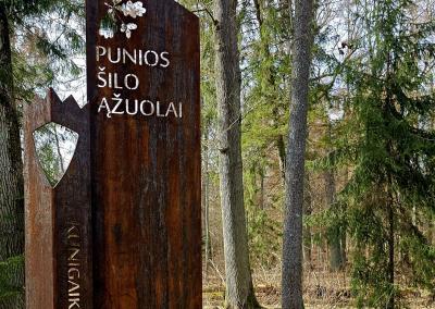 Punios šilas.AM nuotr