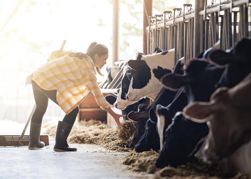 Žemės ūkio rūmų nuotr. 