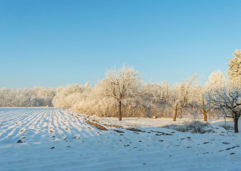 Aplinkos ministerijos nuotr. 