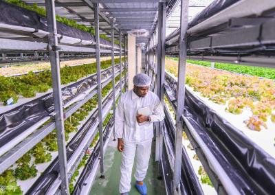 „Leafood“ nuotr.