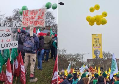 Asociatyvi nuotr. (97)