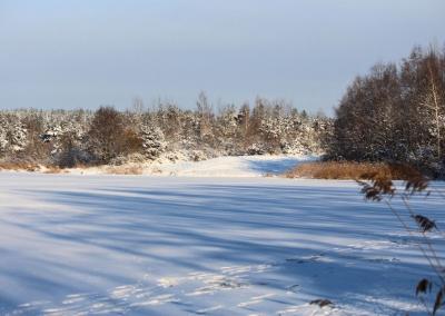 Asociatyvi nuotr. Gedimino Stanišausko nuotr.