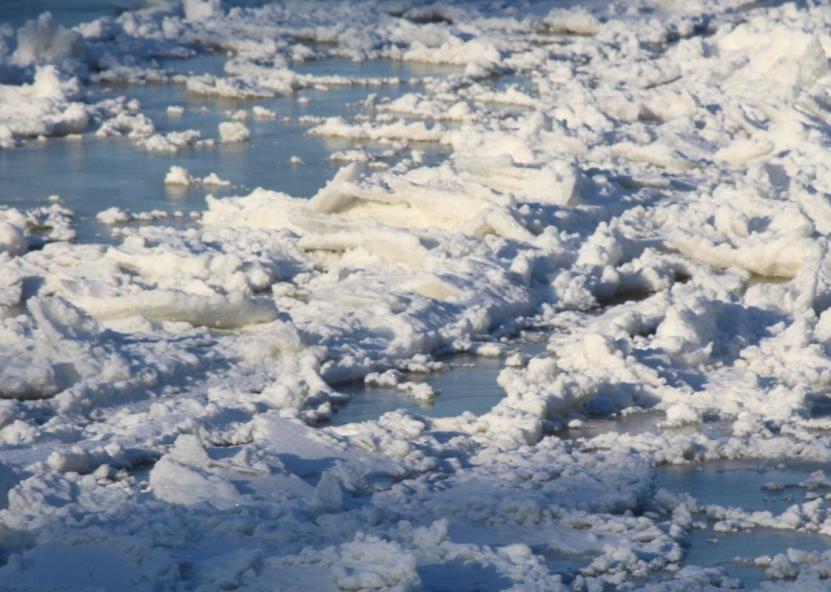 Asociatyvi nuotr. Gedimino Stanišausko nuotr. 