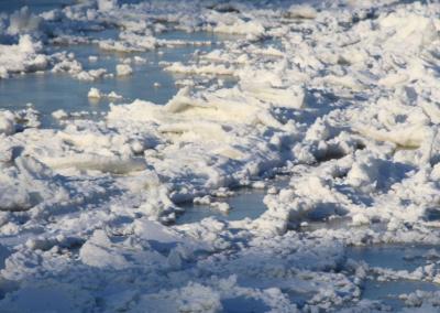 Asociatyvi nuotr. Gedimino Stanišausko nuotr.