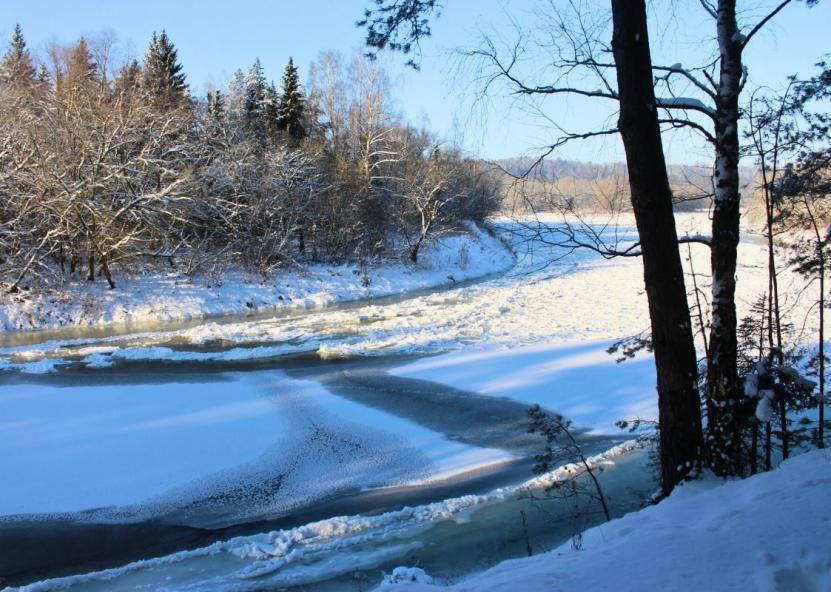 Asociatyvi nuotr. Gedimino Stanišausko nuotr. 