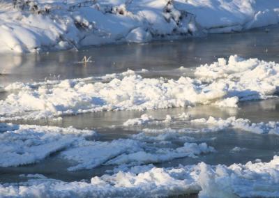 Asociatyvi nuotr. Gedimino Stanišausko nuotr.