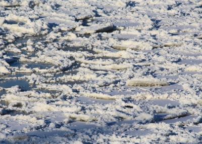 Asociatyvi nuotr. Gedimino Stanišausko nuotr.