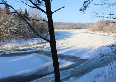 Asociatyvi nuotr. Gedimino Stanišausko nuotr.