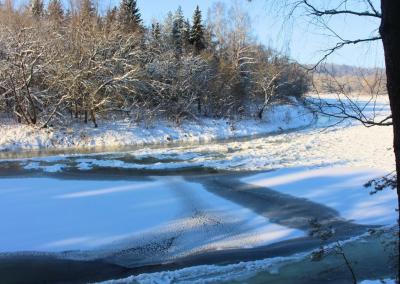 Asociatyvi nuotr. Gedimino Stanišausko nuotr.