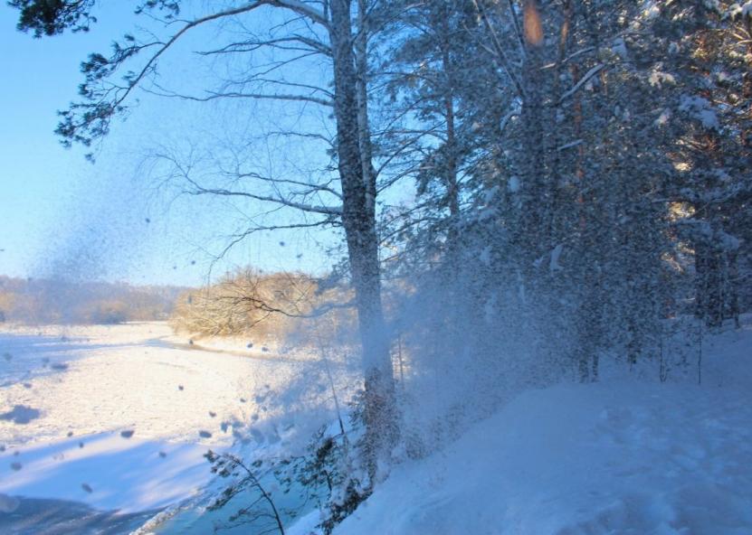Asociatyvi nuotr. Gedimino Stanišausko nuotr. 