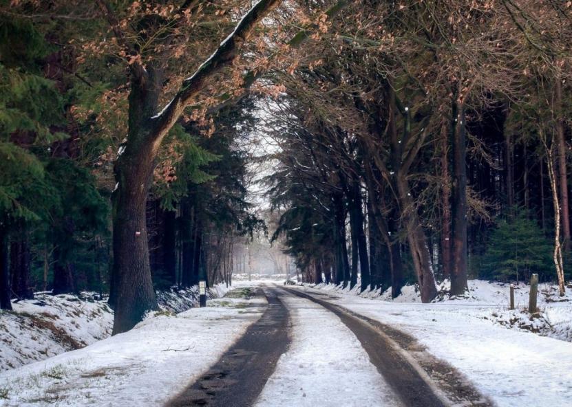 Asociatyvi nuotr. Canva nuotr. 